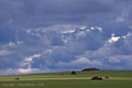 50D_WA08-00890...