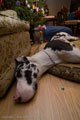 50D_BC08-02634...