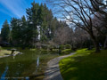 P45_BC09_00107... UBC; Nitobe Gardens; Botanical Gardens