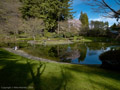 P45_BC09_00113... UBC; Nitobe Gardens; Botanical Gardens