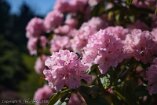 X100V_BC20_00560-c1