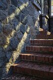 X100V_BC20_00565-c1