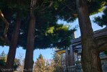 X100V_BC20_00580-c1