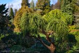 X100V_BC20_00590-c1