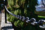 X100V_BC20_00591-c1