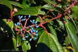 X100V_BC20_00624-c1