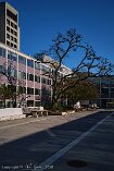 X100V_BC20_00625-c1