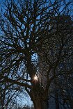 X100V_BC20_00632-c1