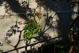 X100V_BC20_00634-c1