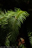R5_BC20_01083