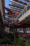 R5_BC20_01122