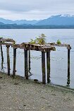 XP2_VI21_00346-c1