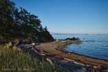 X100V_VI21_00023-c1