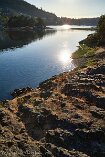 X100V_VI21_00029-c1