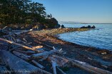 X100V_VI21_00044-c1