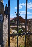 XT4_DE22_00706-c1
