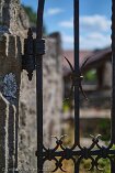 XT4_DE22_00728-c1