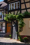 XT4_DE22_01066-c1