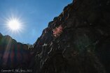XT4_DE22_00120-c1