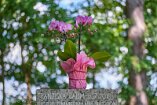 XT4_DE22_00983-c1