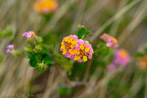 1/2900 sec at f / 2.0