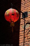 XP2_VI23_01877-c1