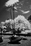 XE2IR_VI23_01519-c1