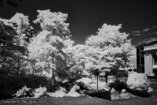 XE2IR_VI23_01522-c1