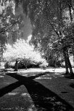 XE2IR_VI23_01564-c1