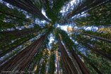 XT5_SW24_00000-c1