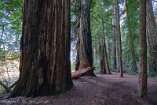 XT5_SW24_00006-c1