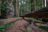 XT5_SW24_00060-c1