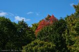 XE5_ON25_00629-c1