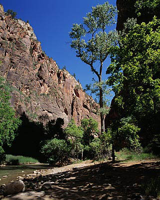 08 Zion Gorge