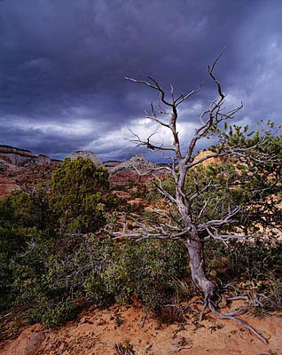 09 Stormy Sky in Zion