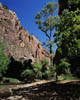 08 Zion Gorge