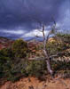 09 Stormy Sky in Zion