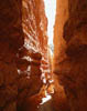 12 Glowing Slot Canyon