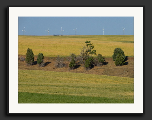 CRW_8959-Windmills.jpg