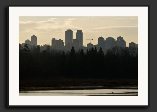 30D_0007220