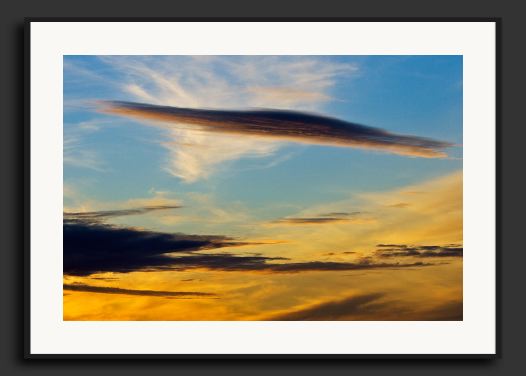 30D_0007286