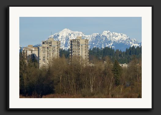 30D_0007166