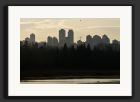 30D_0007220