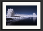 20Di_0003524