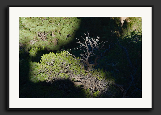 20D_0012932