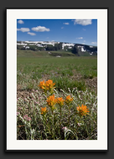 30D_0004308