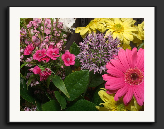 a09_CRW_8164.jpg