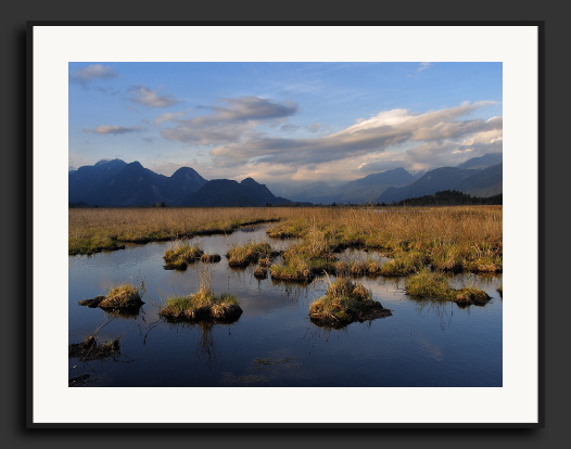 Pitt_Lake_Marsh.jpg