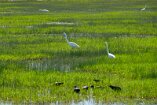 XP2_SW19_00562-c1