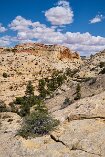 XP2_SW19_01601-c1